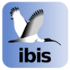 ibis